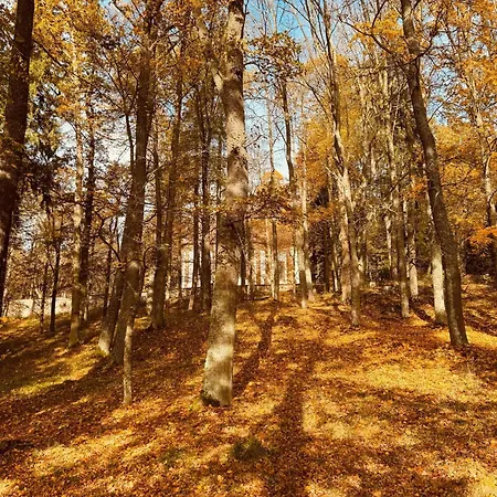 Chata Horni Plana * Horní Planá