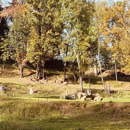 Chata Horni Plana Alpstuga